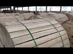 ASTM BS Alle-aluminiumgeleider voor luchtoverbrengingslijnen