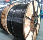Van de de Draad Duplexdraad van de kabeldaling het Aluminiumleider Xlpe Insulated Cable 1*6awg+6awg