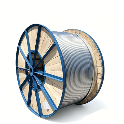JL/G1A ACSR Bare Overhead Conductor Aluminium Stranded Steel Versterkte Kabel voor 10kV Medium Voltage Lines